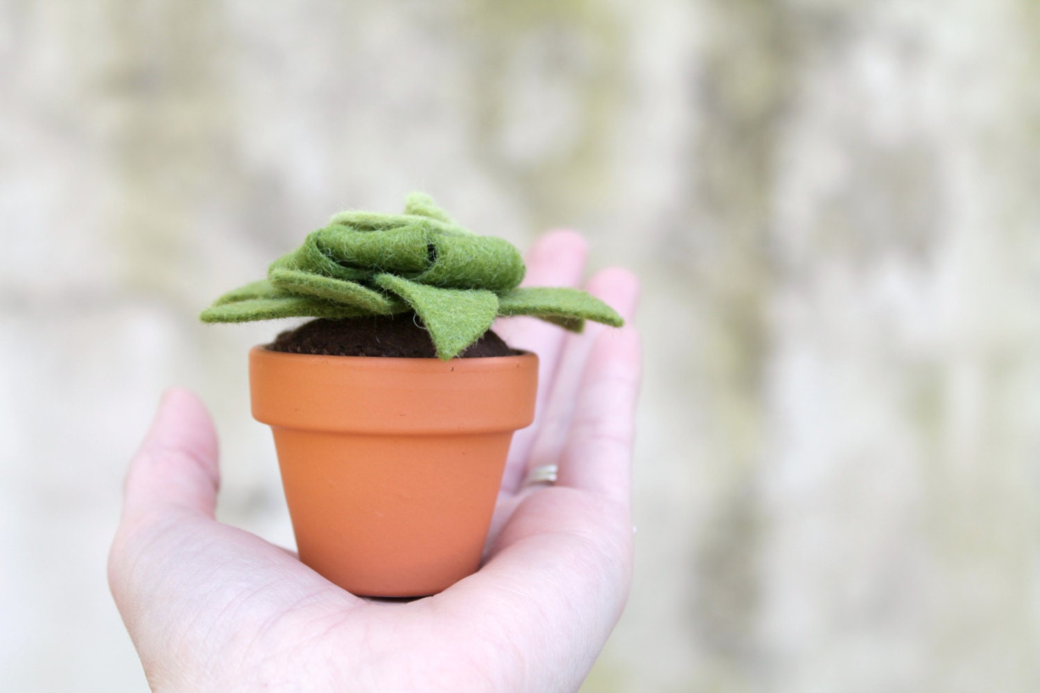 Moss Felt Succulent // Small Artificial Potted Plant // Home Office Apartment Decor by OrdinaryMommy on Etsy