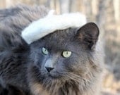 Cat Beret - White French Chic - Wool Felted Beret