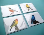 Set of 4, Idaho Native Bird Watercolor Cards, variety Set of 4