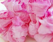 Crinkled Ribbon-Magenta