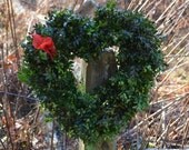 Large Boxwood Heart Wreath, heart wreath, Valentine's Day, Valentine's Day Wreath, love, large wreath