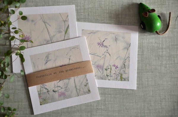 Set of 5 postcards. "Vetch and grasses ..."