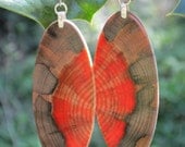 Really Awesome Super Monkey Puzzle Wood Earrings Made From Urban Salvage Tree