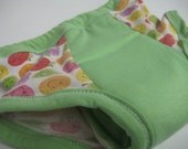 Happy Fruit in Mint Reusable Cloth and Bamboo Potty Training Pants - Size 2T- 3T