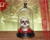 Skull Apothecary Dome Home Decor Macabre Halloween Geekery Romantic Dark