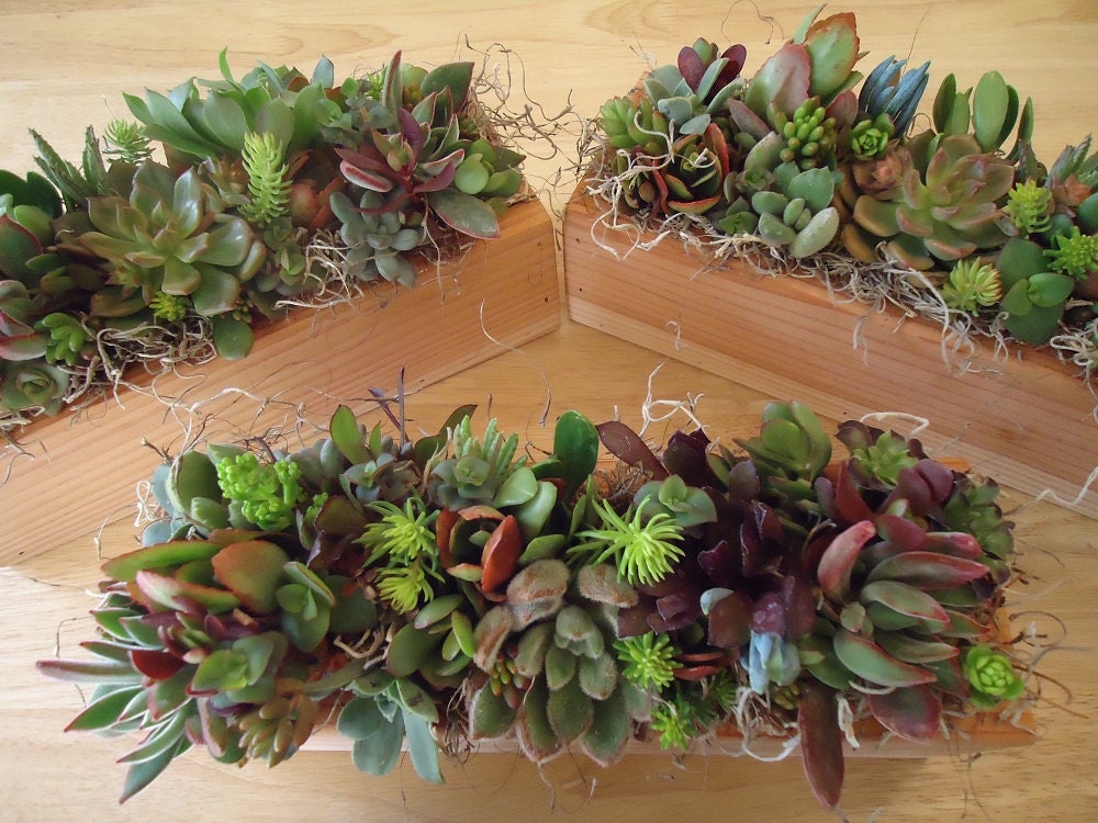 Unavailable Listing on Etsy