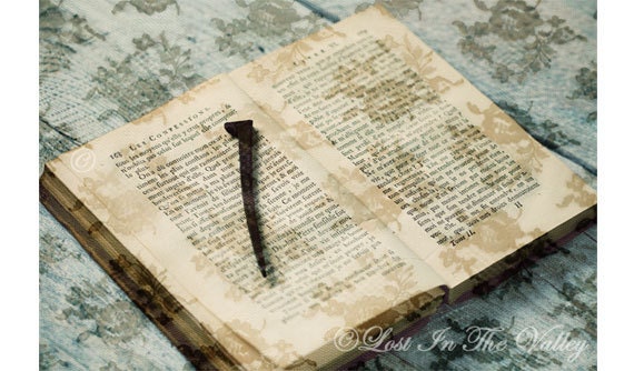 Old Book Photo, French Book Photograph, Still Life Photography, Rusty Nail, Lace, Lacy, 11x16 Fine Art Print, Grey, Beige, Pale Blue, Brown