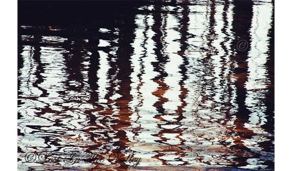 Abstract Nature Photo, Brown, Black, Grey, Water Photograph, Tree Reflection, Woodland, 8x12 Fine Art Photography, Rustic Decor, Connecticut