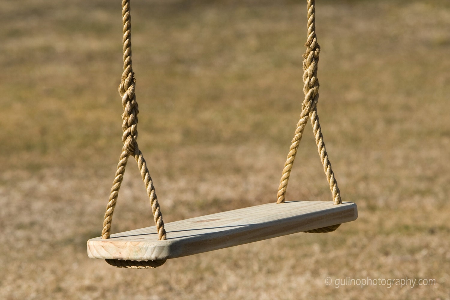 Premier Wood Tree Swing and 12 feet of rope per side