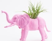 Elephant Planter with Air Plant Room Decor, College Dorm Ornament, Plants and Edibles, Pink, Blue