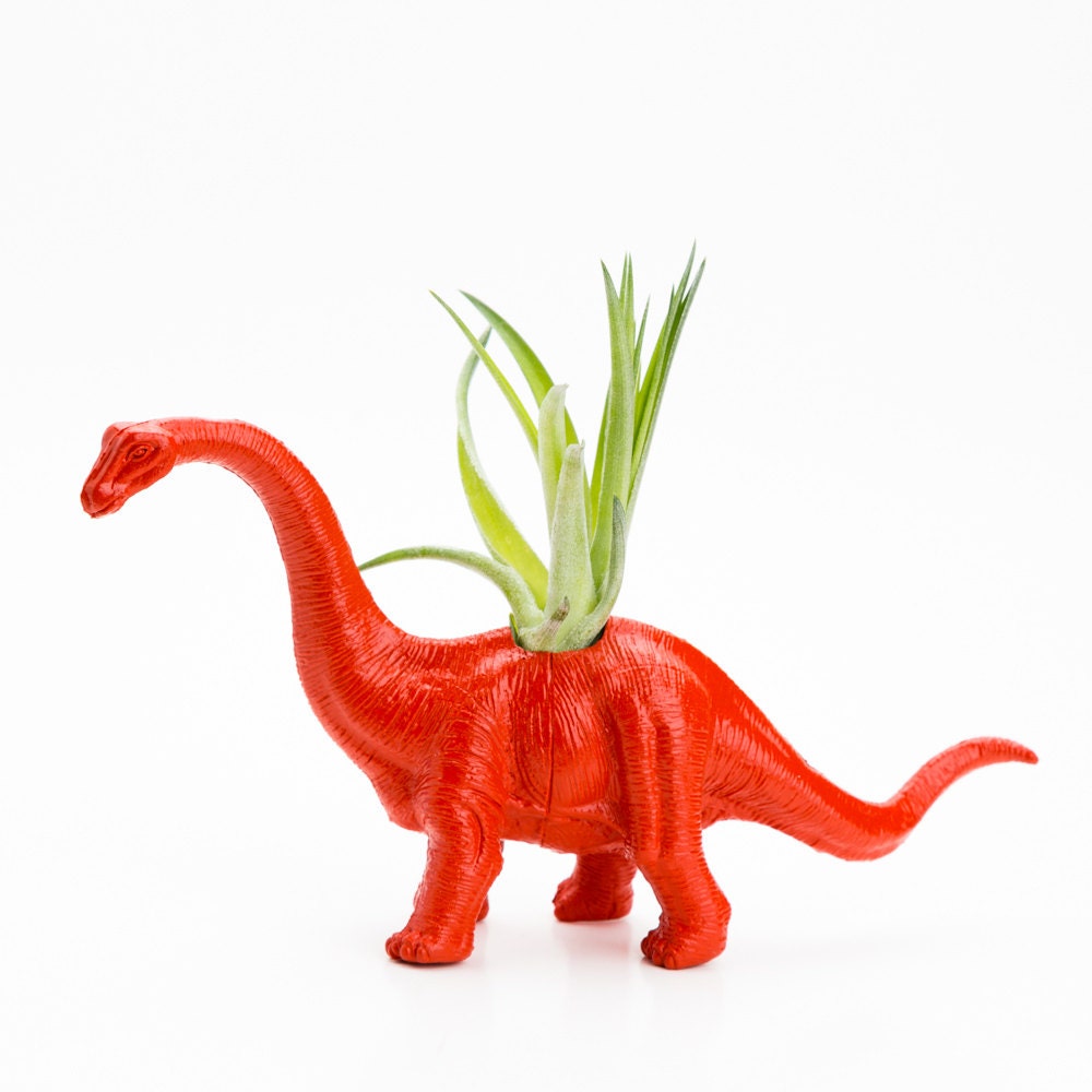 Small Dinosaur Planter with Air Plant Room Decor, College Dorm Geekery, Blue, Red, Orange Dino Decoration