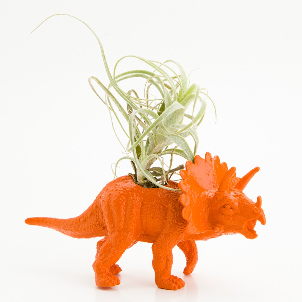 Small Dinosaur Planter with Air Plant Room Decor, College Dorm, Orange, Purple, Red, Black, Plants and Edibles