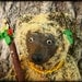 Haywood. Plush, jointed artist bear with polymer face. OOAK art doll by Alia Bierwag. Free US shipping.