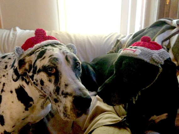 Monkey Sock Hat for Dogs Crochet Pattern by ChristinasKewlStuff