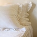 IRIS...EURO SHAM..set of 2