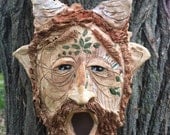 Satyr Birdhouse. reserved for healer