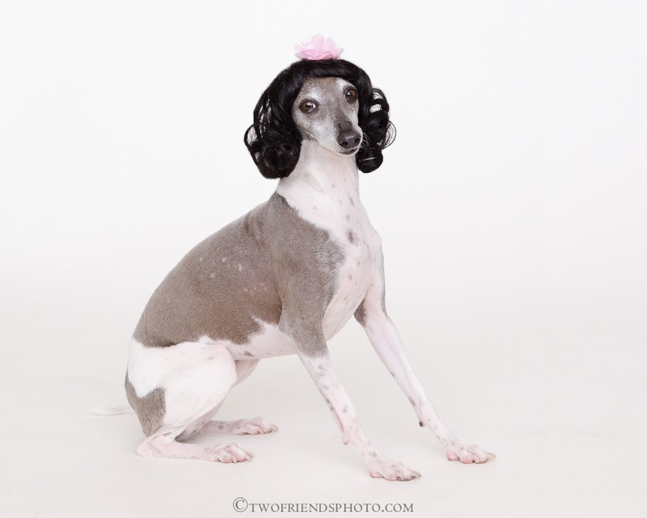 Prom Queen
