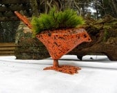Black Splattered Orange Crush Live Mood Moss Bird planter-Crow about this one to your friend-Bird Sculpture Planters