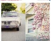 40% OFF SUMMER SALE after all - 8x10 diptych photograph - Tina Crespo Photography