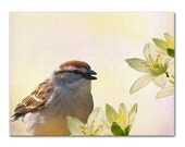 Bird and Flowers fine art photograph 8x10 ivory pastels soft pink vintage look Sparrow wall decor
