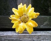 REAL Natural Preserved Yellow DAISY Pin and Pendant