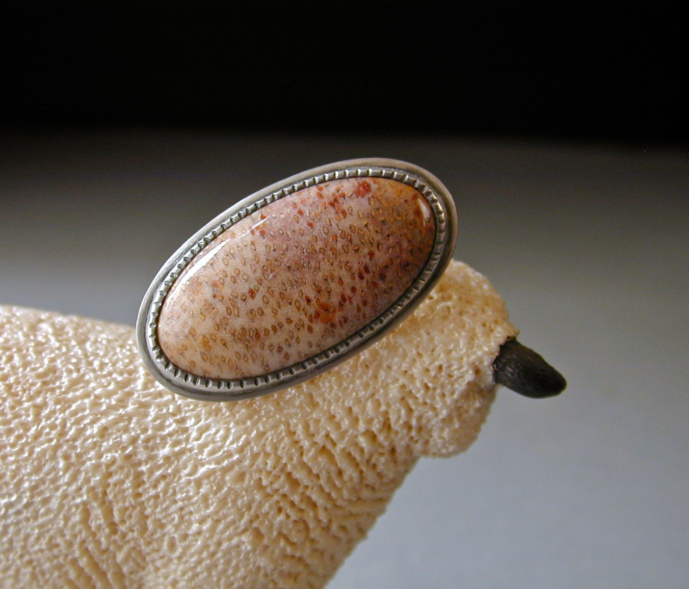Petrified Wood, Fossil Ring, Fossil Palm, Sterling Silver Ring, Minimalist