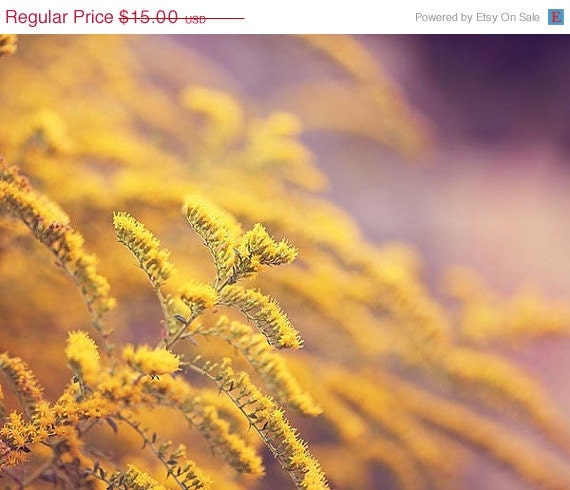 SALE Flower Macro Photograph - Spring garden golden yellow bright Easter lavender violet pastel dreamy romantic lilac - 5x7