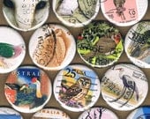 A DISSIMULATION of BIRDS - upcycled postage stamp - pinback button badge, sale for charity