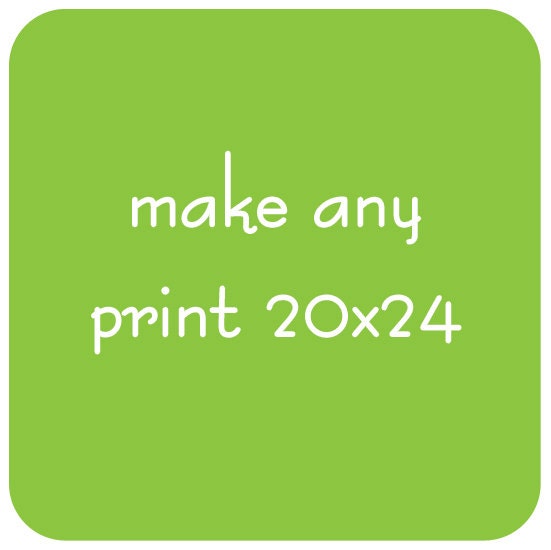 Make Any Print 20x24