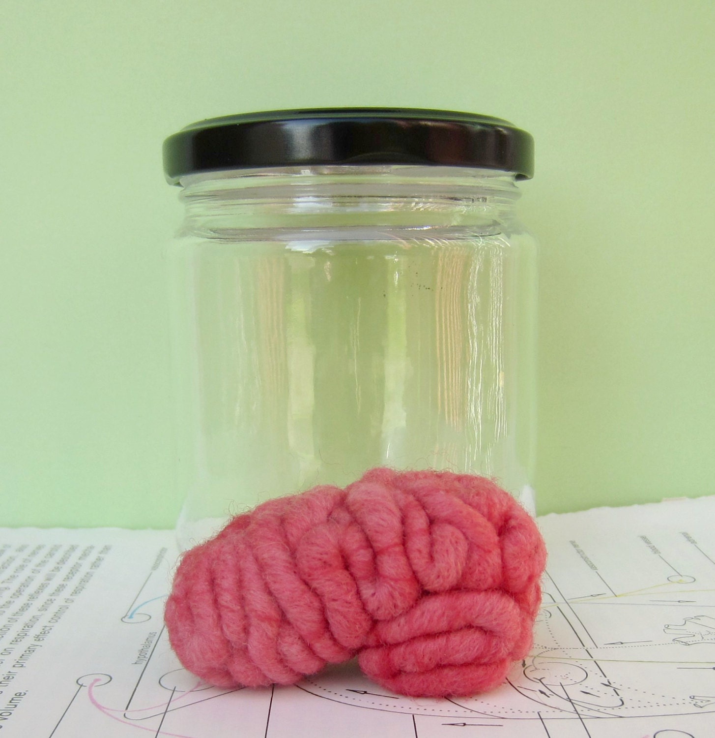 Specimen Jar Brain Anatomical Curio Medium Sized Salmon Colour 1S
