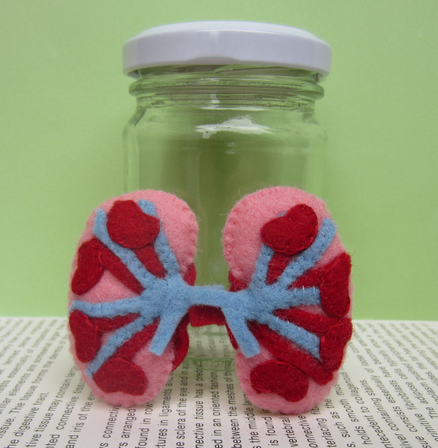 Kidneys in a Jar Light Blue