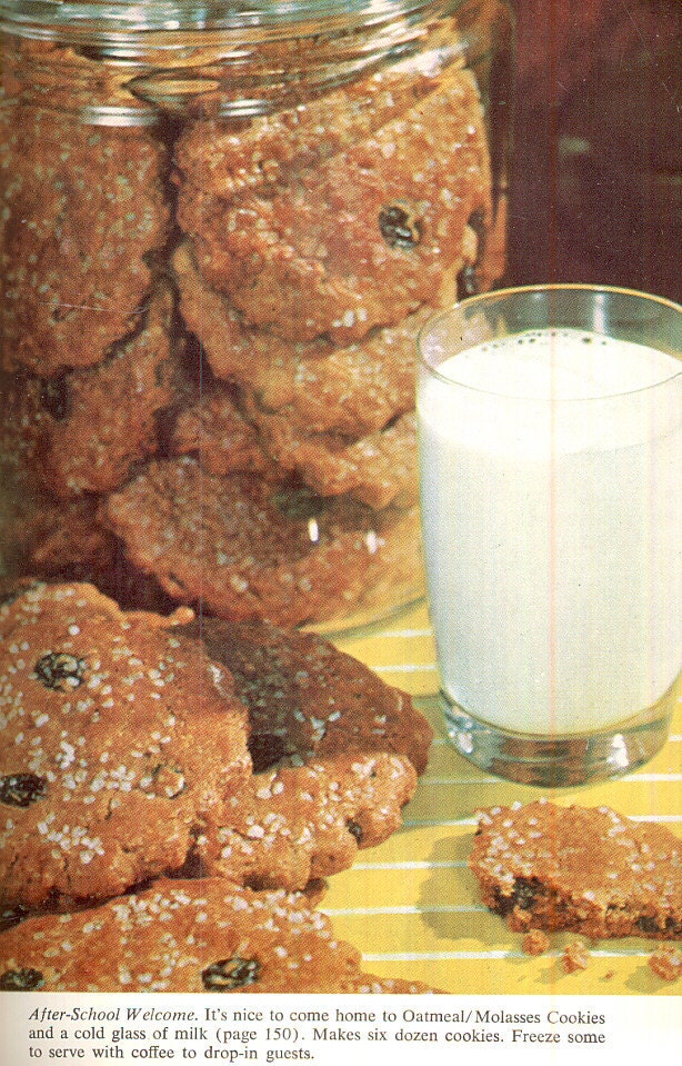 Homemade Cookies nell nichols