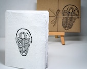 Trilobite Fossil Card (Stamped Handmade Recycled Paper Card and Envelope)