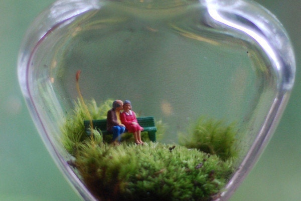 moss terrarium let's grow old together
