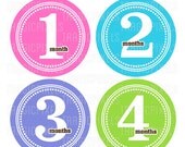 Baby Girl Onesie Stickers, Iron on Transfers, Mom to be Gifts, Photos - Monthly Milestones DIY Printable (No. 124) - Instant Download