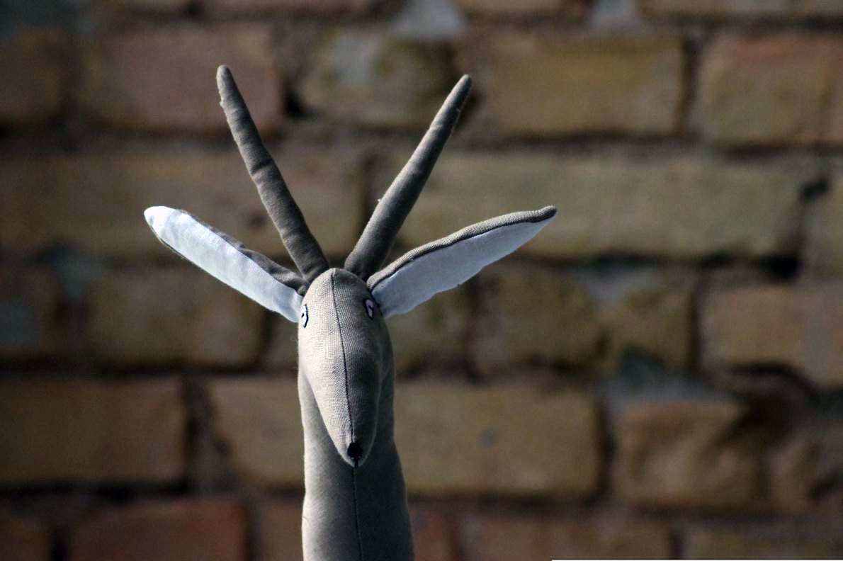 Deer