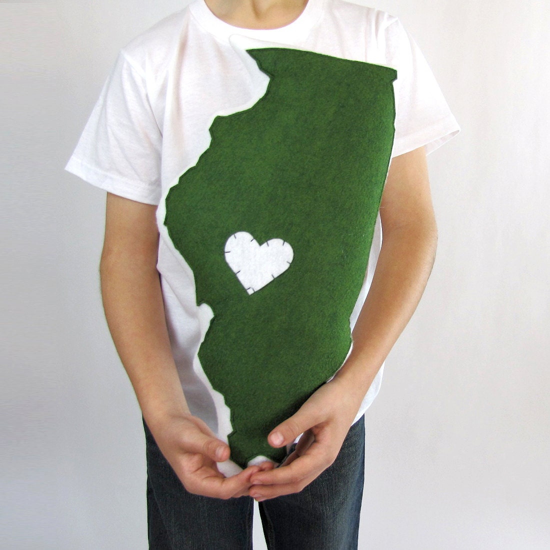 Customizable Illinois State Pillow