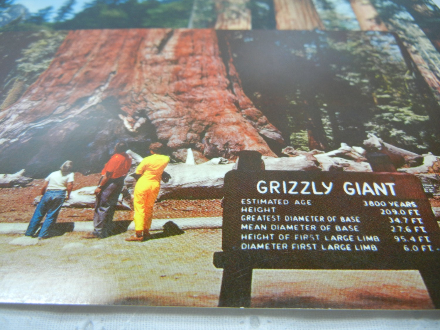 Set of 5 Vintage Postcards, Yosemite California collection, mountains, landscape, parks, sequoia, Vacation SALE