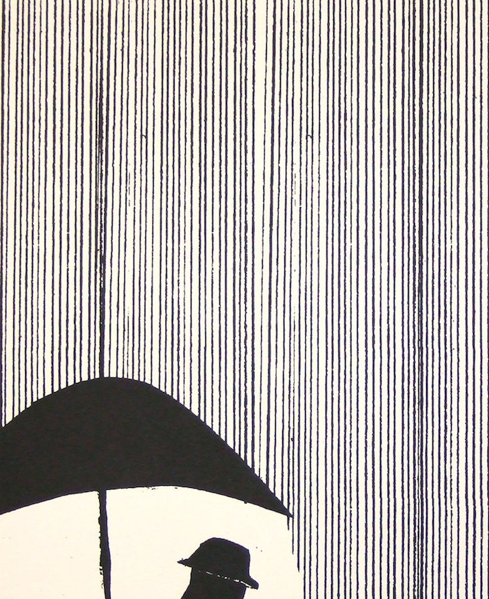 Raincoat 16 x 20