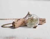 FOREST Moss Terrarium Necklace Pacific Northwest Moss Glass Orb Rustic Nature Study