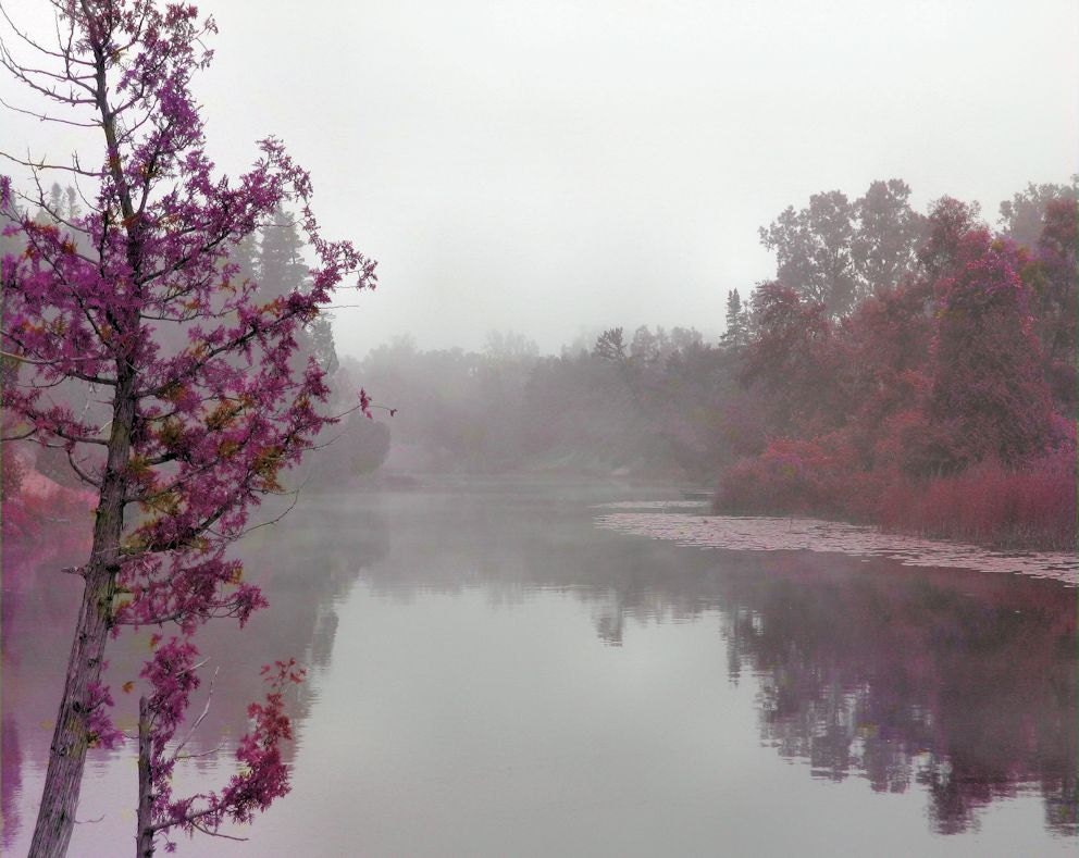 Purple dreamy landscape, spring, nature, mist, woodland, forest, dreamy, fog, grey, surreal, home decor - Mystic River 8 x 10