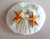Delicate Handmade Realistic Porcelain STARFISH Earrings