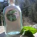 Peppermint Tooth Powder- for Sparkling Clean Teeth... Naturally