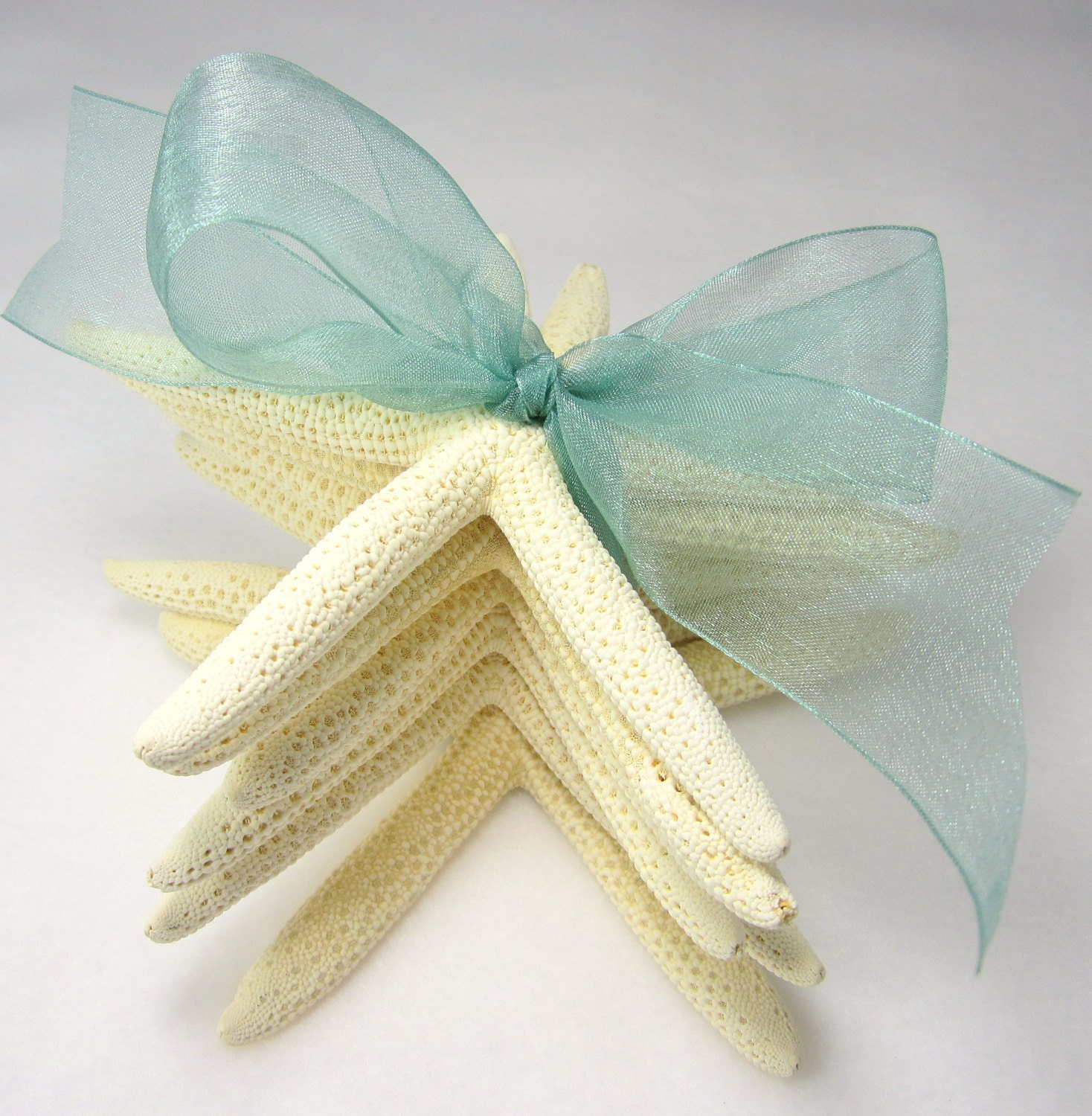 Beach Decor 6PC White Starfish Gift Set - Nautical Decor Gift Set of 6 Finger Starfish