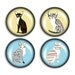 Cat Magnet Set