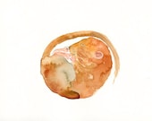 DORMOUSE Original watercolor painting 10X8inch