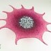 Blown Glass Wall Art Deep Pink Fuchsia Starburst Wall Hanging Decorative Art