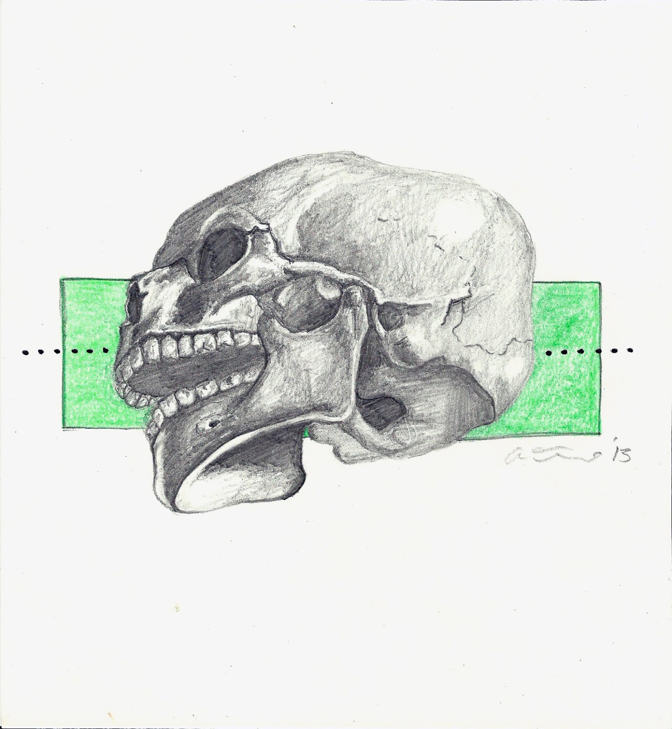 Original Pencil Drawing - Skull an