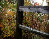 The Fence 8 X 8 fine art photo print
