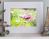 SALE - French Country Matted Photograph, Poppies in Monet's Garden, Giverny, 5 x 7 Fine Art Photo in 8 x 10 Double Mat